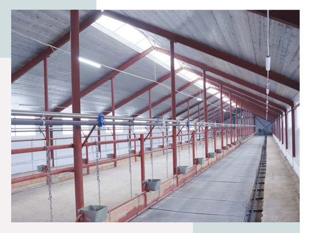 Строительство коровников в Северске от 624 руб.