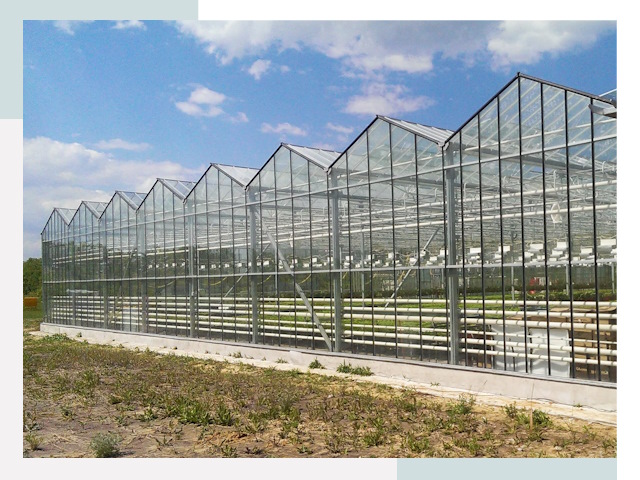Строительство теплиц в Северск от 624 руб. за м²