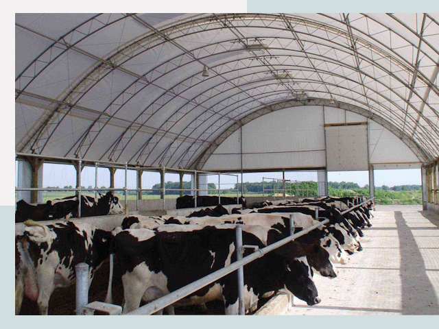 Тентовые коровники в Северске